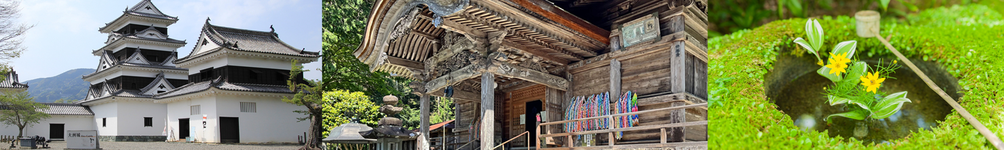 お寺・観光情報